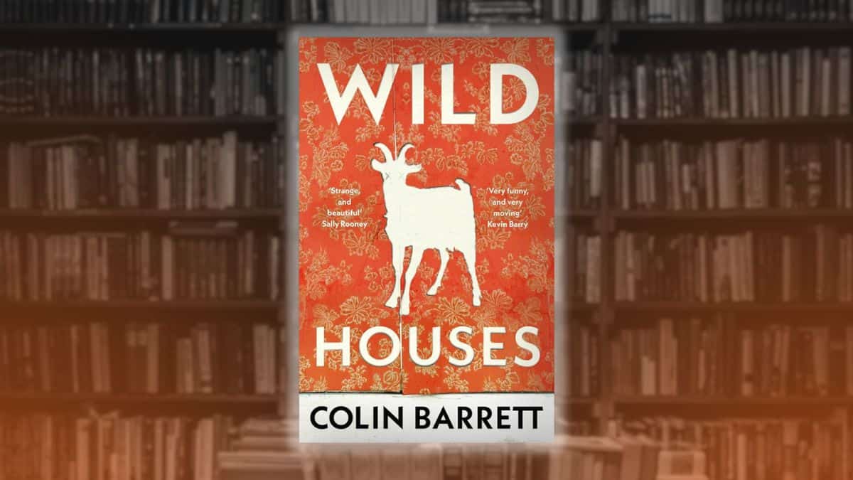 “Wild Houses” by Colin Barrett: A Literary Masterpiece